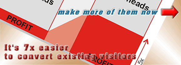 It's easier to increase profits through converting more visitors